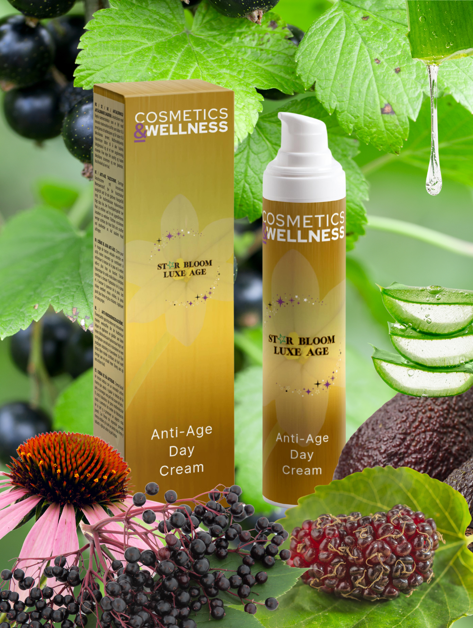 Anti-Aging-Sammelbox Luxe Age